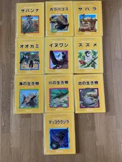 2026年最新】ブックス ニュートン ジュニアの人気アイテム - メルカリ