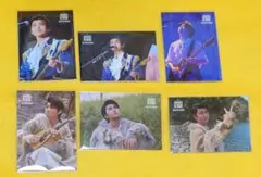 ミセスグリーンアップル ゼンジン フォトカード 若井滉斗 6枚