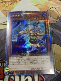 遊戯王　憑依装着エリア　絵違い　25th シク　シークレット