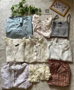 美人百花系　夏　まとめ売り　コーデセット　レディース 服9点セット Lサイズ