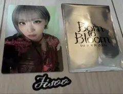 HANA Born to Bloom トレカ ステッカー　ジス