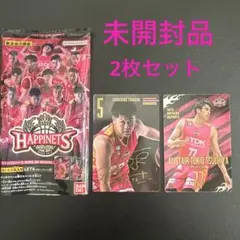 Item thumbnail for item 6518feee-e6ec-4d95-8f96-4c26b838955a