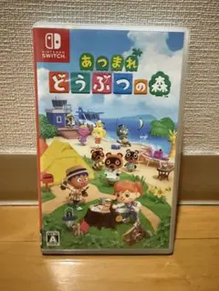 あつまれ どうぶつの森 Nintendo Switch #2