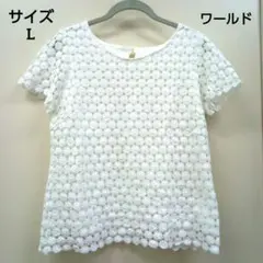 【ワールド】総刺繍カットソー　花柄刺繍　ボディー部分裏地あり　サイズLのサムネイル