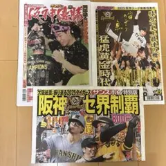 阪神タイガース優勝特集特別号新聞3紙セット