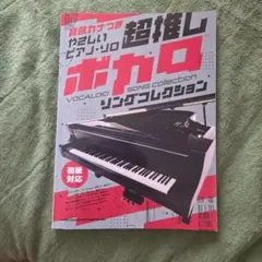 Maya Ongaku エレクトロニック・ファントムズ レコード サイン入り