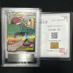 Re Lime様専用【ARS鑑定10】 チリ SAR 鑑定書付き - メルカリ