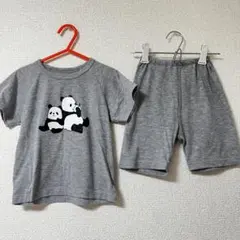 セットアップ　Tシャツ　ズボン　95cm ベビー　キッズ　グレー