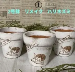 ハリネズミ柄 リメイク素焼き鉢 3個セット 素焼き 多肉植物のサムネイル