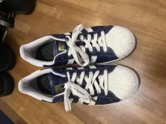 2回ぐらい使用しました。