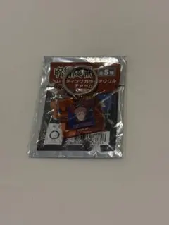 呪術廻戦-死滅回遊- PLAZAトレーディングカラーアクリルチャーム 虎杖悠仁