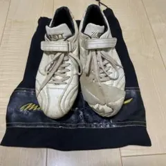 Item thumbnail for item dc113349-ab67-40c5-a9d0-5cbb5a6bf45c