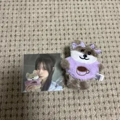 2025年最新】モカ illitの人気アイテム - メルカリ