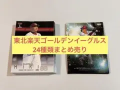 2026 BBM 1st 東北楽天ゴールデンイーグルス24種類まとめ売り
