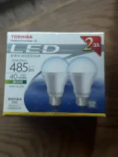 TOSHIBA LED電球 2個セット 485lm