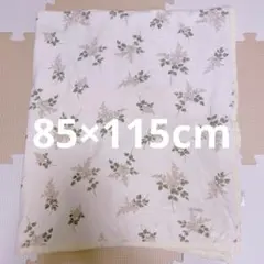 Item thumbnail for item e74010ed-ca3a-4566-9fb3-b6d95390495a