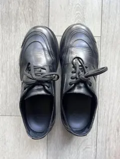 Item thumbnail for item a955b683-7377-4d03-ae9c-b63dff23d0b2