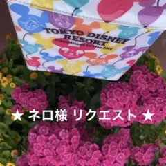 ネロ様 リクエスト 3点 まとめ商品