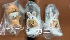 ★stray kids★SKZOO ガチャ　クオッカ リービット