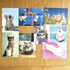 【組み合わせ自由】　猫のポストカード　7枚セット　A