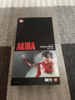 AKIRA 島鉄雄 1/6スケール フィギュアPROJECT BMメディコムトイ