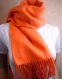 Item thumbnail for item 9e530b07-2463-4c24-9e30-412dcf14e33b