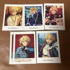 【値下げ】白鳥藍良 ぱしゃっつ 6枚セット