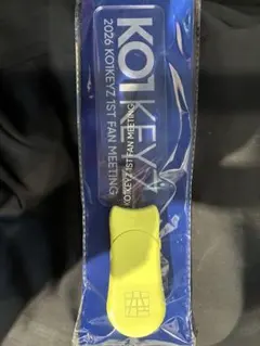 KO1KEYZ 1ST FAN MEETING ペンライト　コイキーズ