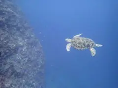 HIRO様専用ページ❤