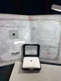 Item thumbnail for item 9df12c1d-3971-4a42-9fc5-211299a7c6d5