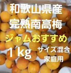 和歌山県産完熟南高梅 家庭用 １kgのサムネイル
