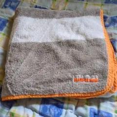 Item thumbnail for item 23ee01c8-fcde-4907-b395-2ce387960ea8