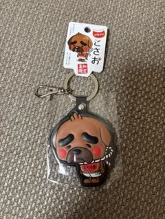 Item thumbnail for item 18b39bee-6a11-4f48-8156-efc154eac01e