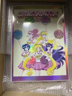 2026年最新】セーラームーンミュージアム オーロラポスターの人気