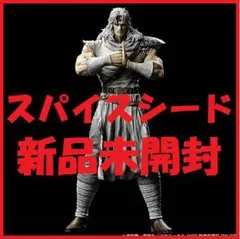 スパイスシード 北斗の拳 トキ SpiceSeed フィギュア レジンキャスト