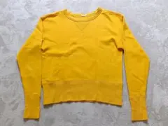 Champion ランタグ復刻スウェットのサムネイル
