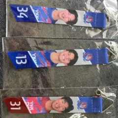 セット　#13 #34 #31