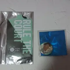 ハイキュー！！　青葉城西　金田一　セット