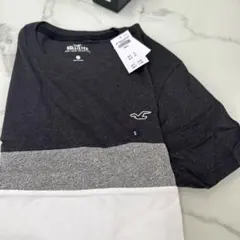 Hollister ダークグレー/ホワイト Tシャツ S