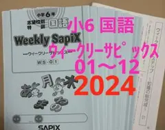 小6 国語 ウィークリーサピックス 前期 1〜12 2024年 読解 知の総完成