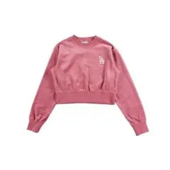 Item thumbnail for item 81c2b200-b473-4446-a4ac-c7d19d4c7e35