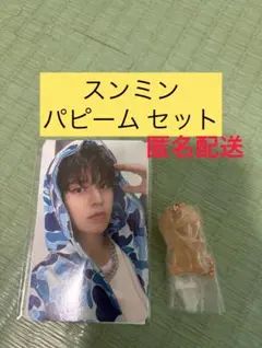 Stray Kids スンミン リアルタッチフォトカード&パピーム グミチャーム