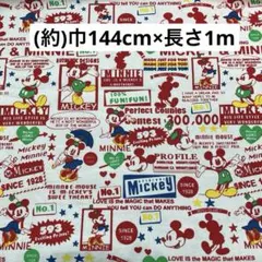 アポロラムネ様 リクエスト 2点 まとめ商品