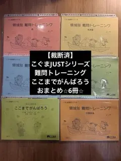 有名小特訓ワーク A B C 3段階 段階別 分野別 しょうがく社 まとめ売り 