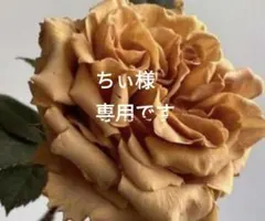 ちぃ様専用です。