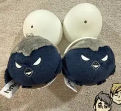 2025年最新】ヒナガラスのたまごの人気アイテム - メルカリ