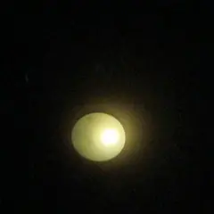 Item thumbnail for item 0c8c985b-07e1-440d-a8ed-8f4b33aef592