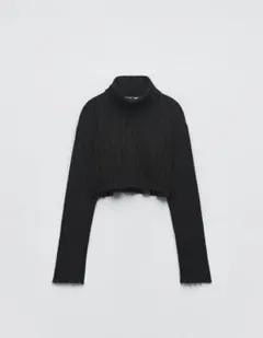 【ZARA】タートルネック（クロップド丈）