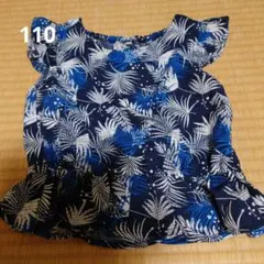 Item thumbnail for item d38c54de-f51f-45f3-ae8b-86ae7750d245