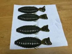deps ブルフラット 4.8インチ 4本入りのサムネイル